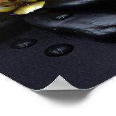 Poster Orchidée Blanche Sur Pierres Noires (Coin)