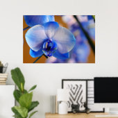 Poster Orchidée bleue et blanche (Bureau à domicile)