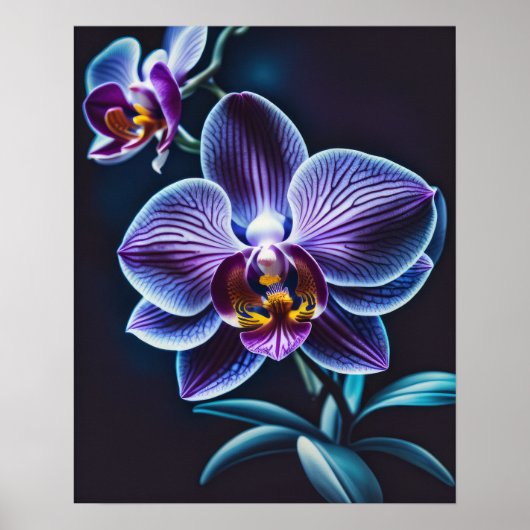 Poster Orchidée bleue II (Devant)