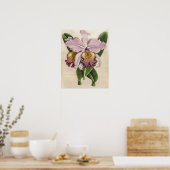 Poster Orchidée Cattleya Hardyana (Cuisine)