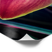 Poster Orchidée. Cymbidium (Coin)