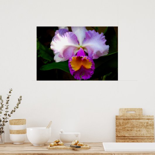 Poster Orchidée de Cattleya - Blanc/Violet/Jaune (Cuisine)