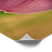 Poster Orchidée de Cymbidium (Coin)