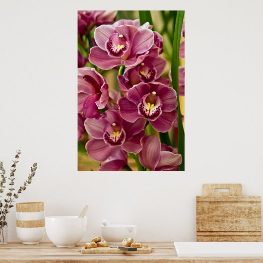 Poster Orchidée de Cymbidium (Cuisine)