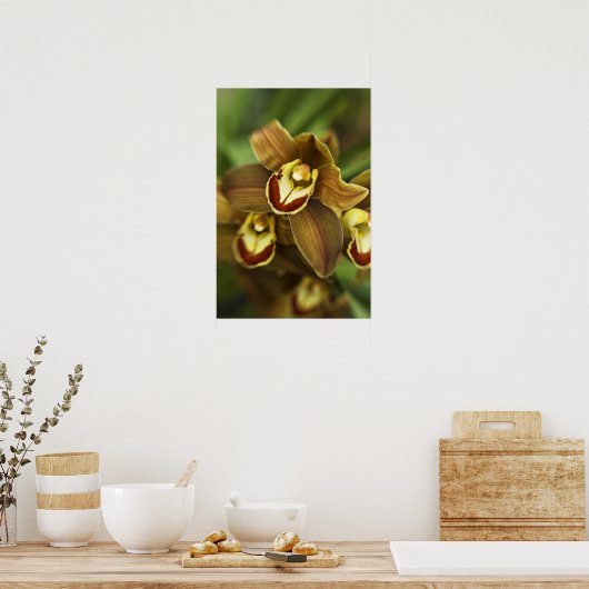 Poster Orchidée de Cymbidium (Cuisine)