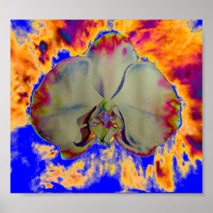 Poster Orchidée de feu, abstraite peinture florale tropic