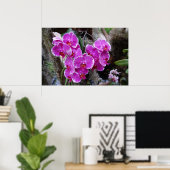 Poster Orchidée de Phalaenopsis en habitat naturel (Bureau à domicile)