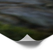 Poster Orchidée de Phalaenopsis pourpre (Coin)