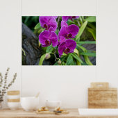 Poster Orchidée de Phalaenopsis pourpre (Cuisine)
