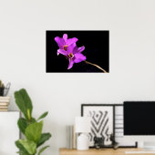 Poster Orchidée Dendrobium (Bureau à domicile)