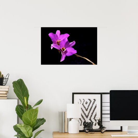 Poster Orchidée Dendrobium (Bureau à domicile)