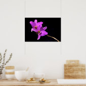 Poster Orchidée Dendrobium (Cuisine)
