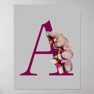 Poster Orchidée Élégant Monogramme Initial A