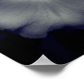Poster Orchidée Fleur Gros Noir Et Blanc (Coin)