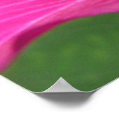 Poster Orchidée Fleurie tropicale Florale (Coin)