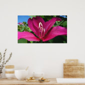 Poster Orchidée Fleurie tropicale Florale (Cuisine)