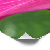 Poster Orchidée Fleurie tropicale Florale (Coin)