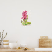 Poster Orchidée hebrideaui : Dactylorhza majalis (Cuisine)