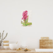 Poster Orchidée hébrideaui : Dactylorhza majalis (Cuisine)