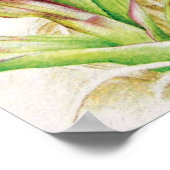Poster Orchidée hebrideaui : Dactylorhza majalis (Coin)