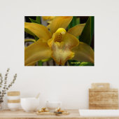 Poster Orchidée jaune (Cuisine)