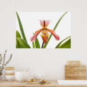 Poster Orchidée - La sandale va-t-elle tenir (Cuisine)