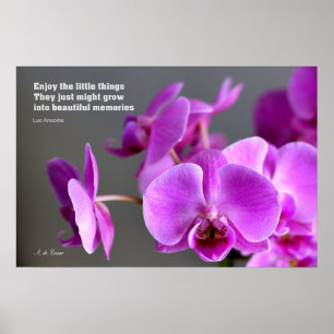 Poster Orchidée mauve lilas violet, citation inspirante