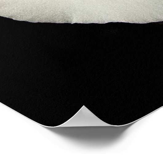 Poster Orchidée - Miltoniopsis - Les Trois Amigos (Coin)