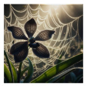 Poster Orchidée noire Spiderweb Floral (Devant)