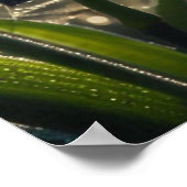 Poster Orchidée noire Spiderweb Floral (Coin)