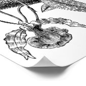Poster orchidée papillon (Coin)