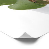 Poster Orchidée pleine image isolée sur un arrière - plan (Coin)