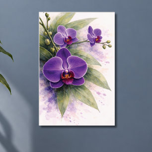 Poster Orchidée pourpre botanique