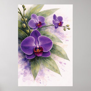 Poster Orchidée pourpre botanique