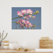 Poster Orchidée rose (Cuisine)