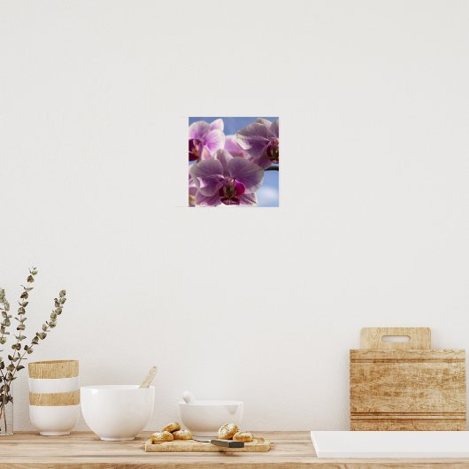 Poster Orchidée rose (Cuisine)