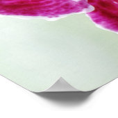 Poster Orchidée rose (Coin)