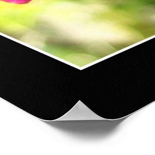 Poster Orchidée rose (Coin)