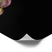 Poster Orchidée rose blanc couleur sur noir pâle doux (Coin)