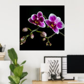Poster Orchidée rose blanc couleur sur noir pâle doux (Bureau à domicile)