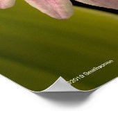 Poster Orchidée rose tropicale (Coin)