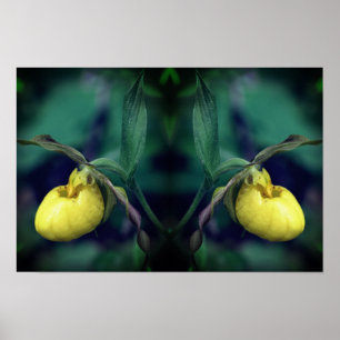 Poster Orchidée Sabot de Vénus Fleur Art de la Nature Jau