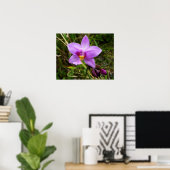 Poster Orchidée sauvage fleur tropicale violette (Bureau à domicile)