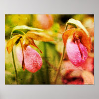 Orchidée Sauvage Rose Lady Slipper Pair Art Distre