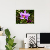 Poster Orchidée sauvage violette Fleur tropicale (Bureau à domicile)