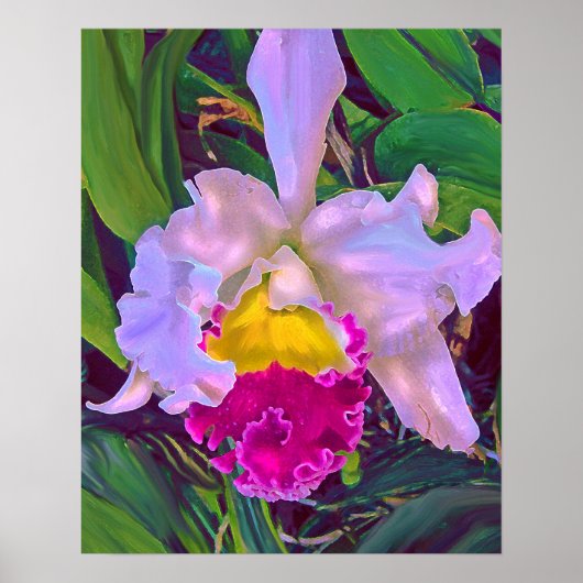 Poster orchidée tropical (Devant)