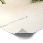 Poster Orchidée Vexillarium Odontoglossum (Coin)