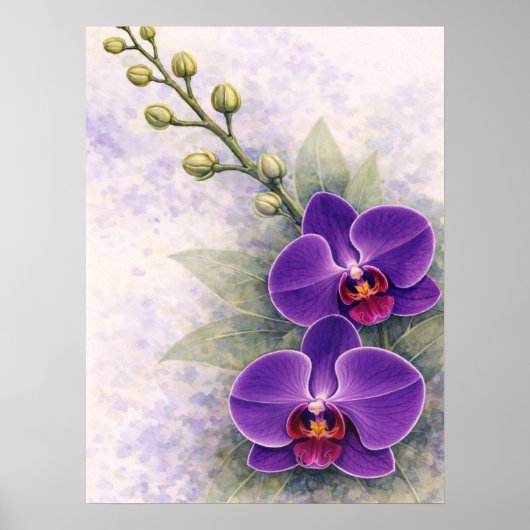Poster Orchidée violette Duo Fleur Botanique (Devant)