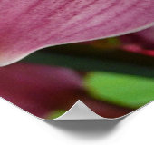 Poster Orchidée violette Élégante Florale (Coin)