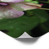 Poster Orchideeën (Hoek)